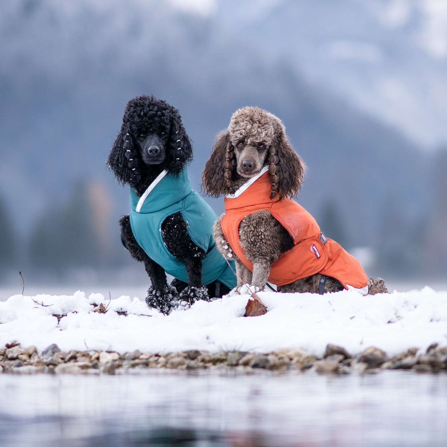 ToppaPomppa koiran talvitakki väreissä Forest ja Rust